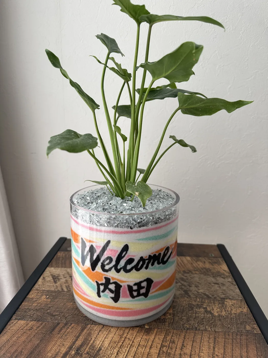 名入れオーダーメイドの観葉植物サンドアート（Welcome）